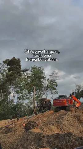 💰#tambangemas#emasdolar#kulitambang#fypシ#fyp