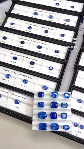 Unheated Sapphires ready to go to the Hong Kong Show!  Stones on the tray weigh 10-30 CT+ each.  Every stone in the video is certified and loupe clean.  We hope to see you there! Visit us at the September Hong Kong Gem Show at the AsiaWorld-Expo from September 15th-19th in Fine Gem Pavilion Booth 9F26. We are Wholesale Sapphire & Ruby Specialists.  Top goods only!   For serious inquiries only, please email Jeremy@colorlineusa.com www.Colorlineusa.com for our inventory. Instagram @colorlineusa #colorlineusa #sapphire #ruby #ceylon #ceylonsapphire                          