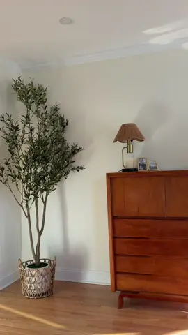 I was thinking about what to do with this corner so I went greenery! Found this olive tree on Amazon #amazonfinds #amazonmusthaves #homedecor #apartmentdecor #homeliving 