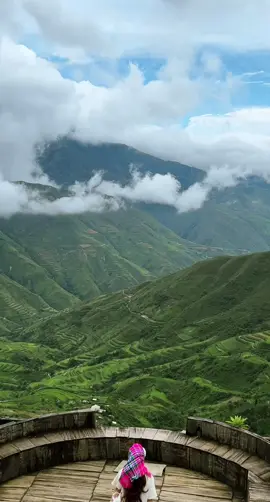 Trở lại Tà Xùa vào mùa thật xanh…#Taxua #Thaocoffee #31.8.2025