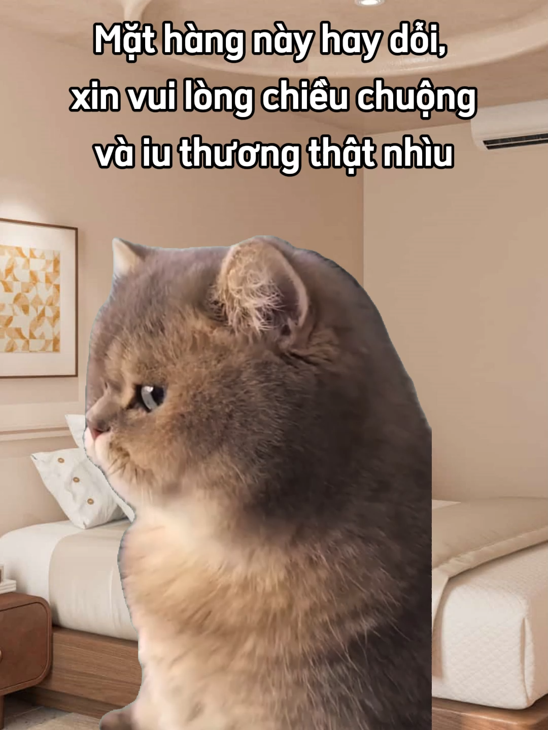 Hay dỗi nhưng dễ dỗ #meme #emiutoilanhat #canxonghun