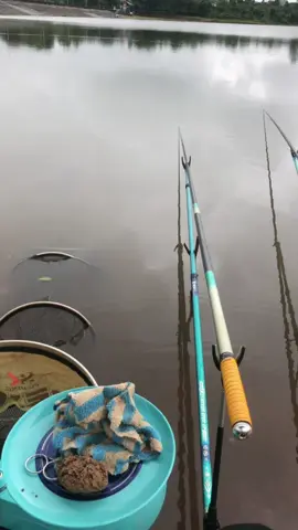 Câu móm ko đc sợ nha ae 😀#dammecauca #caucatunhien #caucagiaitri #fishing #hoangtapcau 