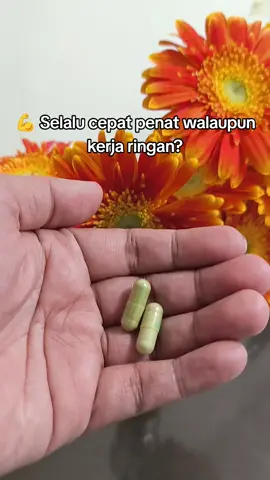 👉 Boost stamina & kekal aktif dengan Moringa Capsule hari ini. #MoringaEnergy #StaminaBoost #sihatbertenaga 