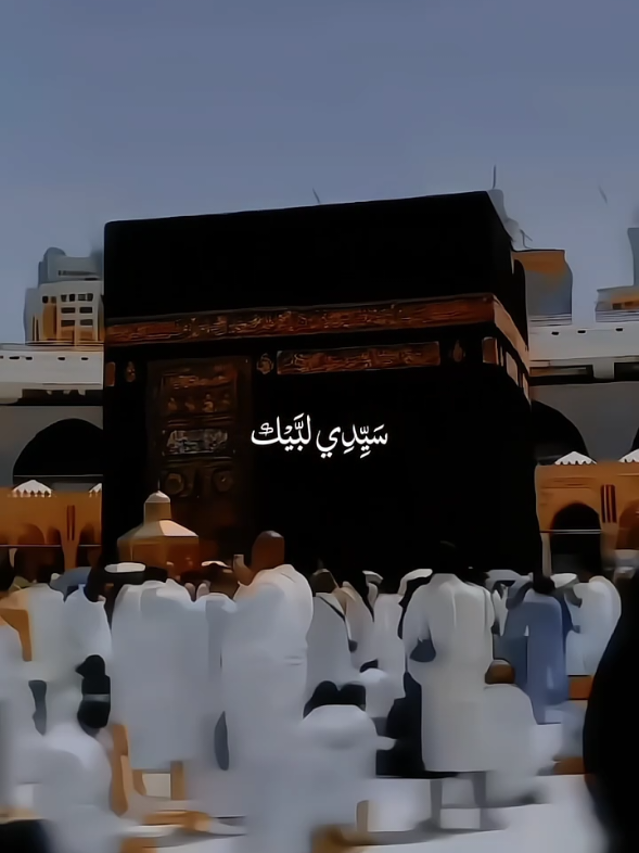 Qalbi Fil Madina 🫠💞🎧❤️‍🩹 . . #nasheed #viral #allah #fyp  #muhammadpbuh 