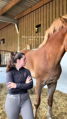 Biggest horses ever #bighorse #horses #horsesoftiktok #equestrian #horse 