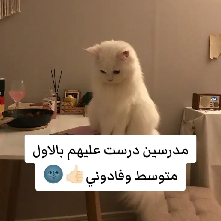 #مالي_خلق_احط_هاشتاقات🧢 #الشعب_الصيني_ماله_حل😂😂 #تطبيقات #مدارس_العراق #مدرسه 