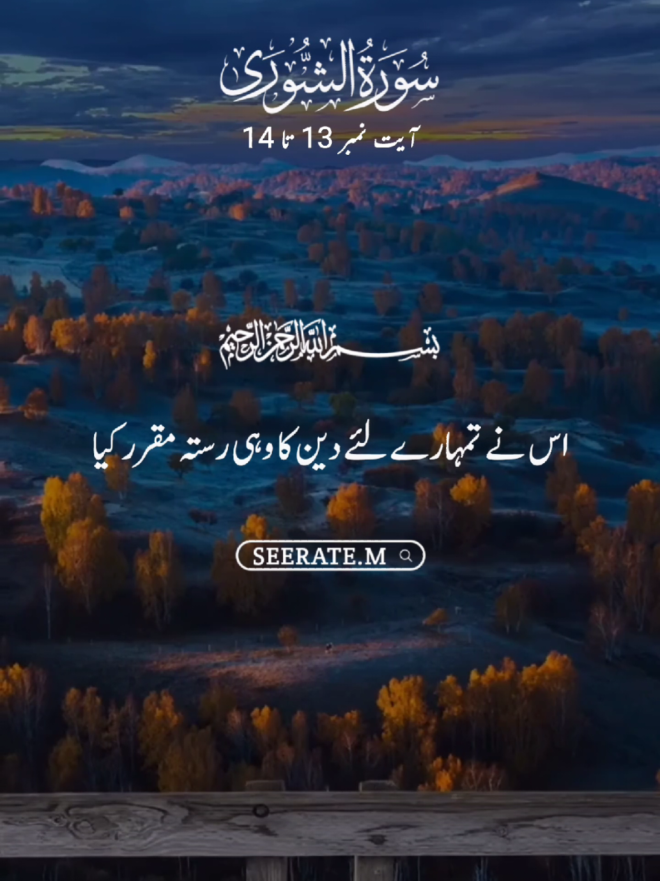 Quran kareem with translation 😍  surat shauraa ayat no 13 to 14 #quran #hadees #islam #seerate_m #viral 