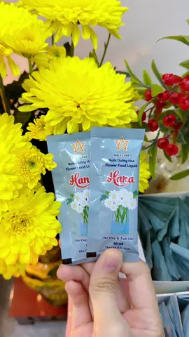 Hoa nở bung đều đẹp lâu tàn mà nước k bị hôi #shopgiadungtramtram #nuocduonghoa #nuocduonghoahana #nuocduonghoatuoilau #banthothantai  @Shop Gia Dụng Trâm Trâm  @Shop Gia Dụng Trâm Trâm  @Shop Gia Dụng Trâm Trâm 