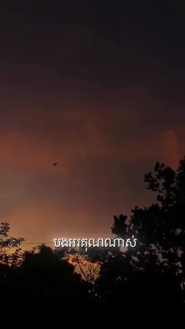 បងសុំទោស #មាននិស្ស័យតែគ្មានវាសនា #fypシ #sad #capcut #រៀនទទួលស្គាល់ការពិត👌 