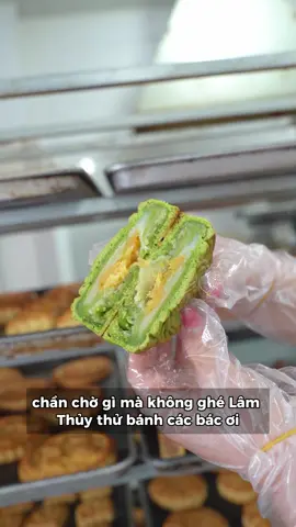 Hầm trú ẩn dành cho những lúc kh.ẩn cấp. Nhà Trắng thiết kế thật sự quá tài tình rồi #hamtruan #nhatrang #tiembanhlamthuy 