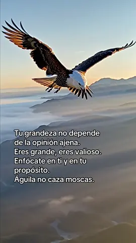 Quien te juzga habla de sus propias heridas, no de tu valor. Tu misión no es descender a su nivel, sino mantener tu altura. Recuerda: el águila no se distrae con las moscas porque sabe que su vuelo es más alto. 🦅✨ 👉 Pregúntate: ¿voy a permitir que una opinión externa afecte mi paz? Elige volar alto, libre, y enfocado en tu propósito. 💜 Si este recordatorio resonó contigo, compártelo con alguien que necesite elevar sus alas. 🦋 Sígueme para mensajes diarios de sanación y espiritualidad.  #poderinterior #enfoque #amorproprio #pazmental 