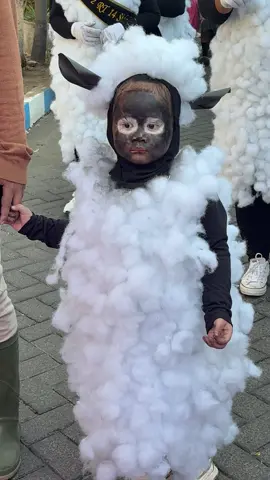 Comel🐑