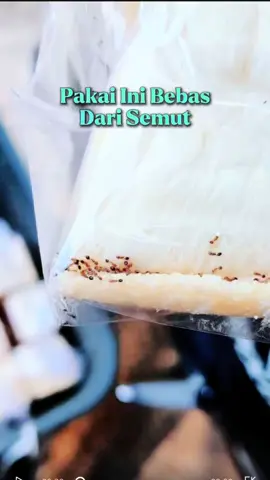 Kalau bingung gimana lagi cara biar basmi semut? INI JAWABANYA 🔥 #wiselieindonesia #wiselie #spraysemut #semut #aromaticspraysemut 
