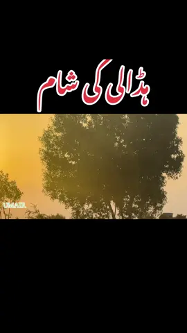 #Hadali #❤️❤️❤️❤️❤️❤️❤️❤️❤️❤️❤️❤️❤️ #2k25 