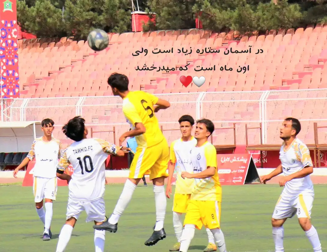 انگور که پخته شد به میخانه میرود 🤍♥️ #تاجیک_هزاره_ازبک_پشتون_ترکمن🇦🇫 