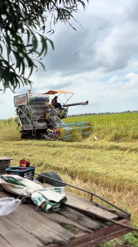 #ไทยเจริญการช่าง🌾🌟🌈 #เฒ่าแก่น้อย #fypシ 