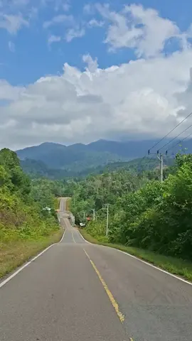#kalimantan 