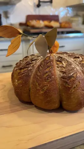 Our pumpkin spice sourdough recipe is available again on our website! We are thrilled to usher in the Fall season with this recipe. If you are a pumpkin spice lover, you’ve got to try this! 🍂 🎃 #fall #pumpkinseason #sourdough #pumpkinspice #sourdoughbaking 