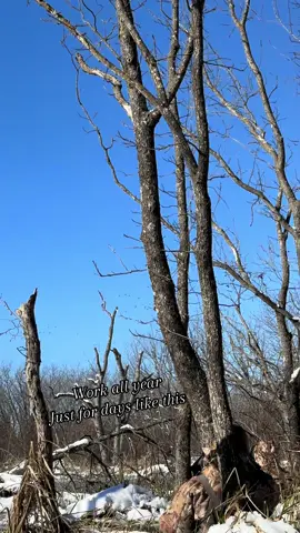 #waterfowlhunter #hunting #duckhunting #fyp #sitkawaterfowl 