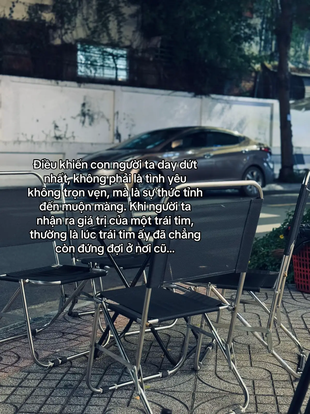 #fyp #xuhuong #trantienanh🧸 