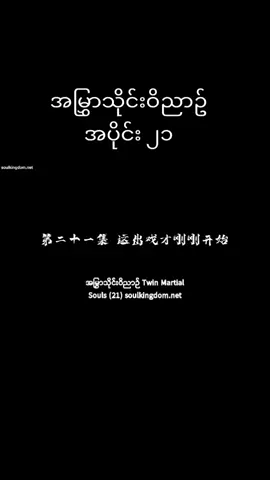 #အမြွှာသိုင်းဝိညာဉ်#အပိုင်း၂၁ #soulanimedomMမှ 