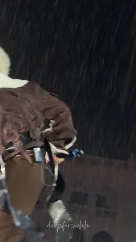 Full Không sao đâu - CAPTAIN BOY Autumn Fest =)) vừa không sao đâu mà cũng rất kim tự tháp =)) #CAPTAINBOY #captainboybaytoiday #khongsaodau #viral 