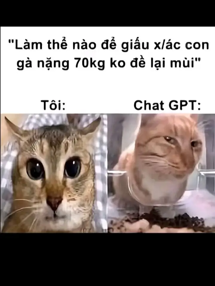 theo trend nhưng bị trễ 😐 cre:jokerquemientay_11#chatgpt #AI #xuhuong #fyp #chatgpt5 