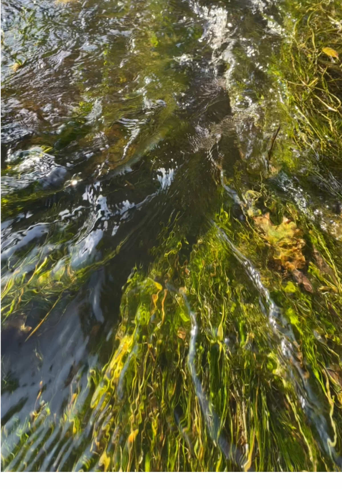 Healing water sounds 💗 #relaxation #nature #healing #videoviral #trendingvideoviral 