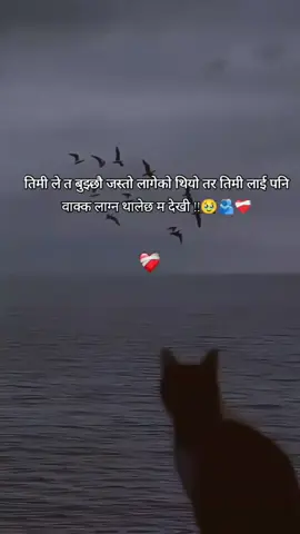 sad line nepali 🥹❤️‍🩹#viral #nepaliquotes #goviral #caption #fypシ 