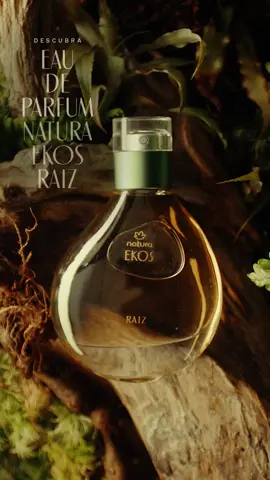 Descubra a fragrância única do Eau de Parfum Ekos Raiz, que une notas verdes e florais ao raro óleo essencial aromático da Priprioca, raiz originária amazônica cultivada há séculos no coração da maior floresta do mundo. Conheça o perfume e a coleção no site, app e lojas Natura.