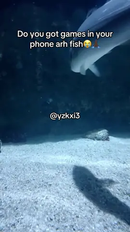 #yzkxi3 #fy #meme 
