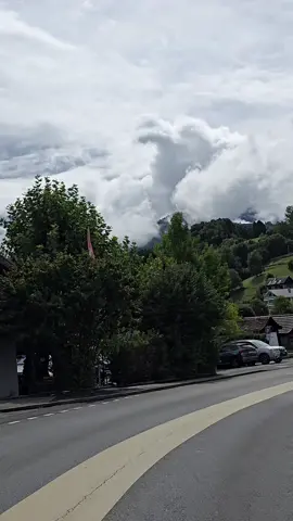 #creatorsearchinsights #سعد الغامدي#قرآن_كريم #غزة_فلسطين #سويسرا🇨🇭 