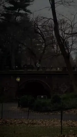 اخويا في حماك🥺♥ #المخرج_يحي_البحيري  #اخويا#شعر#اوصل_اصبر  #مؤمن_عيد  