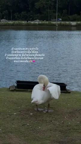 #fyp #รีโพสต์ให้ที #คนดูหายไปไหนหมด #tiktok #ฝากกดติดตามด้วยนะ 