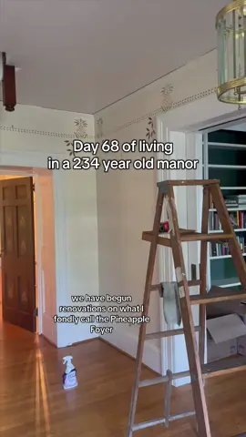 I love that you’re all loving my new side series about renovating the house!!! #DIY #historichome  You can see way more manor content on IG at  TheUnlikelyCountrywoman 