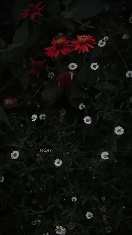 Ngày xưa khi còn thơ ba thường hay nói con rằng #remix #nhacremix #trending #xuhuong2025 #giaitritiktok 