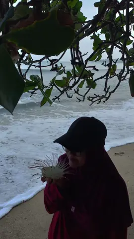 Hanya tentang Bunga, yg jatuh di pasir pantai🪷🪷 , bukan bunga bank apalagi bunga deposito🫣