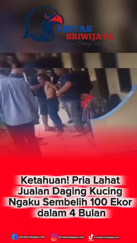 Ketahuan! Pria Lahat Jualan Daging Kucing Ngaku Sembelih 100 Ekor dalam 4 Bulan #JualDagingKucing #WargaLahat #polrespagaralam 