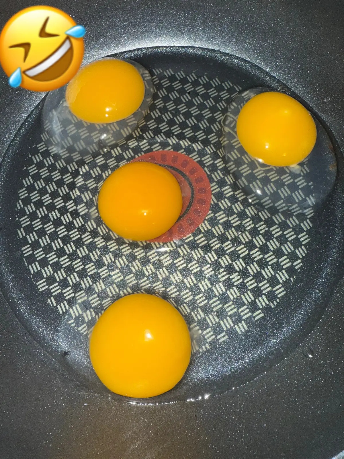 Farm life.  #chcikens #egg #homestead #Food #foryou 