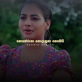 මා ගෙනා පින් වැඩි නිසා මට ඔයා හිමිවුණා 🥺❤️‍🩹 Mention කරගෙන යන්න ඔයාගෙම වුණ එයාව 🤍 ©️Salena Nuwan Teledarama | Adare Mathake Thiya  #auroix_status #salenanuwanteledrama #adaremathakethiya #tvderana #creatorsearchinsights  @Thulanga Jayakodi @Lakshitha Rodrigo @TV Derana 