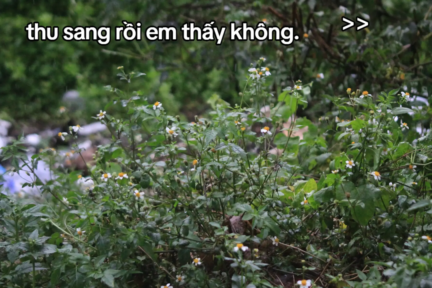 wake up, im wake up. #fyp #canonphotography 