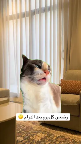 #Meme #MemeCut #الدوام_الصباحي 