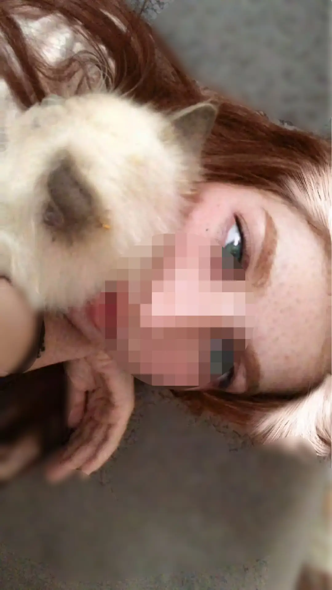 #مالي_خلق_احط_هاشتاقات #🇮🇶 @ₗᵢₙₐ 