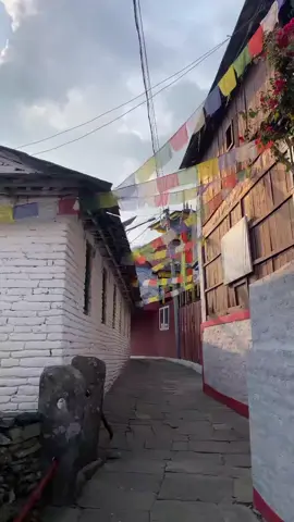 Sirubari Homestay. Nepal ko first homestay #fyppppppppppppppppp #foryoupage #sirubari_village #homestay#Nepal
