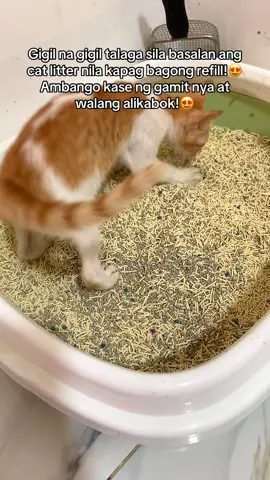 Mixed Cat Litter Sand  #mixedtofucatlitter #catlittersand #catlitter 