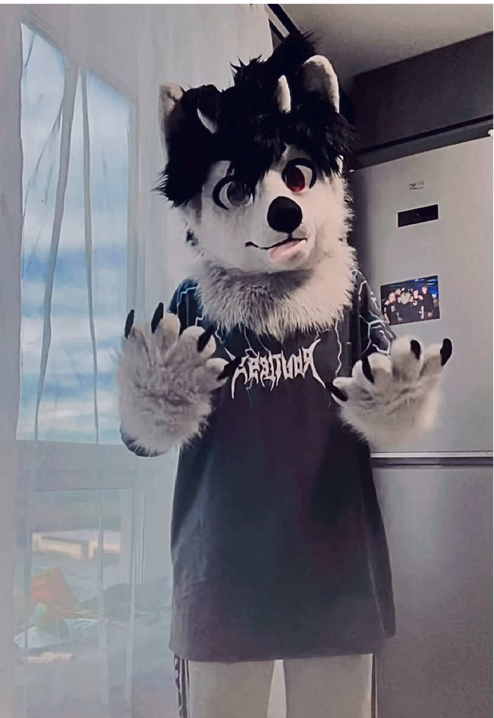 @фыркалко 🐾 