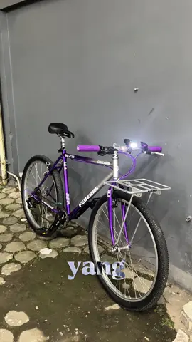 🟣👿 #federal #commuterbike 