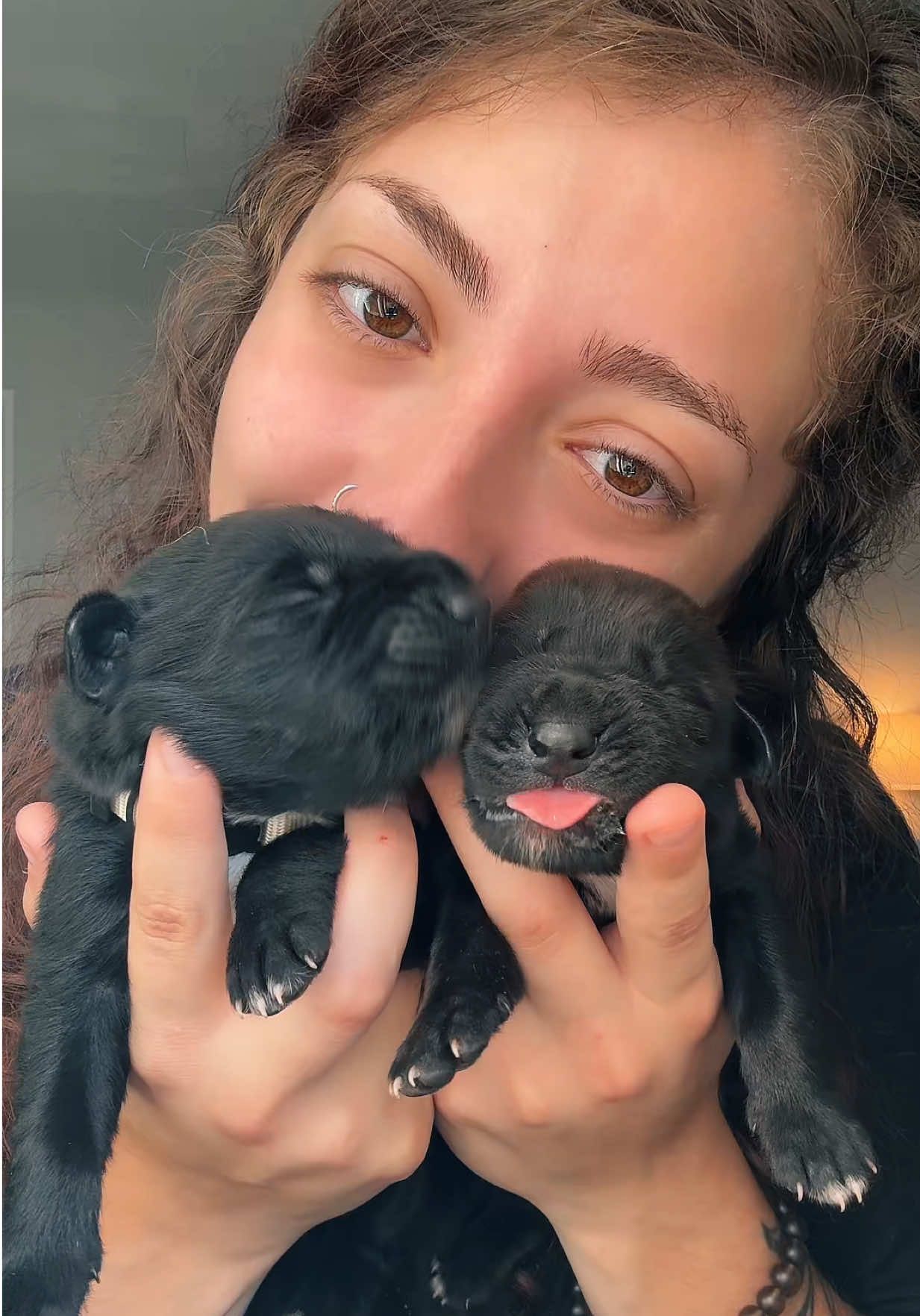 my heart is so full 🩷 i love these peanuts so much!! #germanshepherd #puppies #LanguageLearning #fyp #foryou 