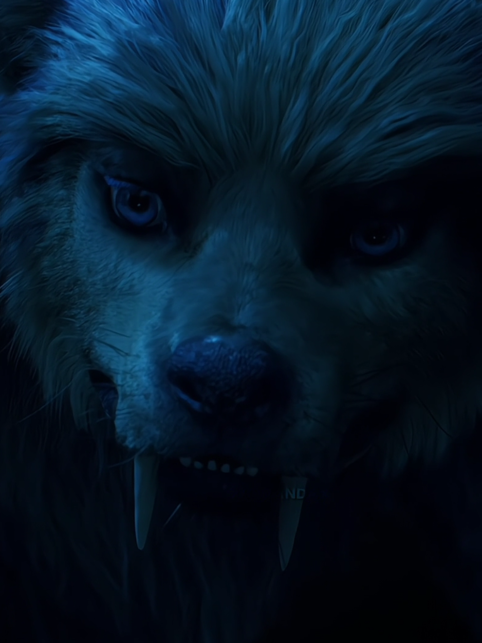 this is TRUE love 😭 #wenclair #wednesdayseason2 #wednesdayaddams #enidsinclair #wednesday 