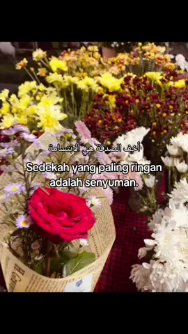 sedekah paling ringan adalah senyuman☺  #sedekah #senyum #hadits #laguindia 